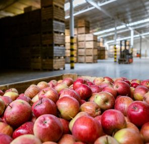 What’s Unique About Food-Grade Warehousing?